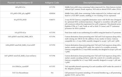 Optimising the zebrafish Cre/Lox toolbox. Codon improved iCre, new gateway tools, Cre protein and guidelines